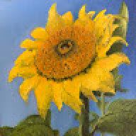McCanna7