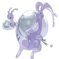 Salomaoll