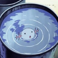 Royal_Chiharu