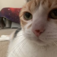 Malthpookie