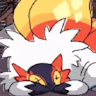 thecatsurf