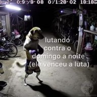 MexxMax