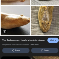 TheSnakeGod