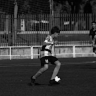 miguel_arques