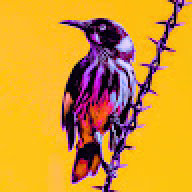 Jtxhob