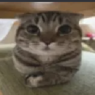 TheOGDragon1