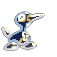 JohtoHawk