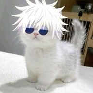 konohazxs