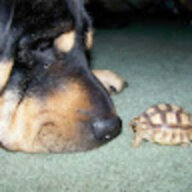 FloraDogFarm