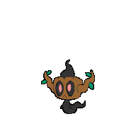 CurelyShot