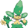 Kefky