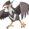 kennystaraptorchew