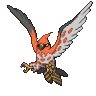 Talonflame