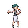 PokéPundit