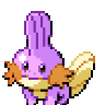 duckydonne