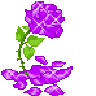BriarRose