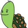 TurtleJoe12