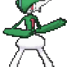 Sephori
