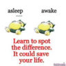 LaxSnorelax