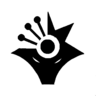 3333e3333