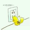 Suinub