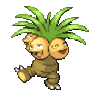 zarreed