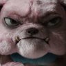 snubsnub