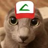 DetectiveDaikon