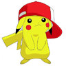 pikachu9053