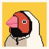 PinkParrot
