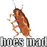 HOES MAD