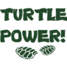 05Turtle