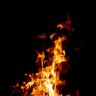 wildfire555