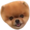 crumpet