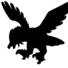 TheDarkhawk