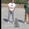 Dust Biter