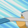 Pelican_
