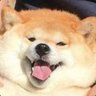 dabeandude