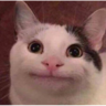 allnamestakenbruh