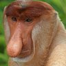 JoanGarcia