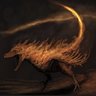 Osteoderm