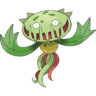 NatIsAwesome
