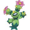 CactusCrusader42
