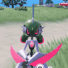 Max op boy