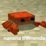 Taner704