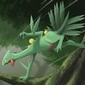 SkylighterVGC