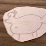 ZeChonkyFox