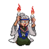 Spidops Expert