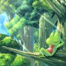 Treeko4545