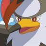 Tytohbird